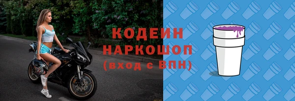 хмурый Алзамай