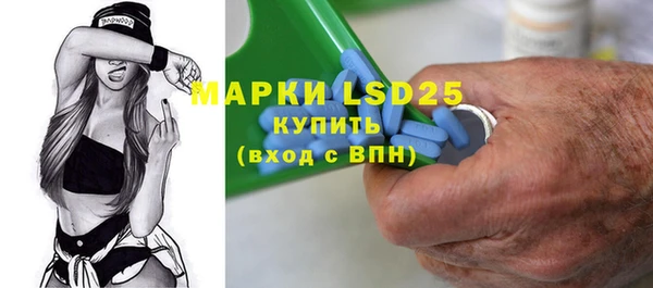 хмурый Алзамай