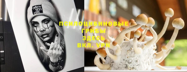эйфоретик Алексин