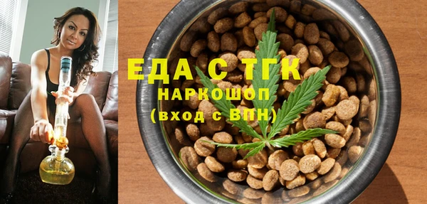 хмурый Алзамай