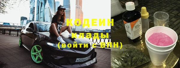 хмурый Алзамай