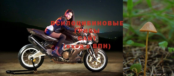 дживик Алексеевка