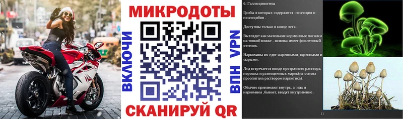 MEGA маркетплейс  Приозерск  Галлюциногенные грибы Cubensis 